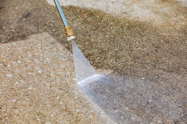 Best Animal Enclosure Cleaning  in Leakesville, MS