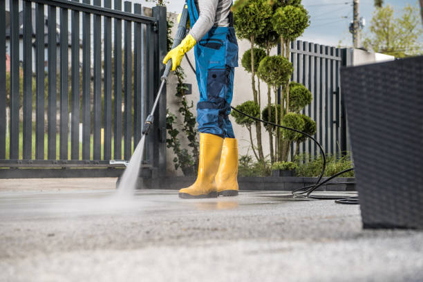 Best Sidewalk and Walkway Cleaning  in Leakesville, MS